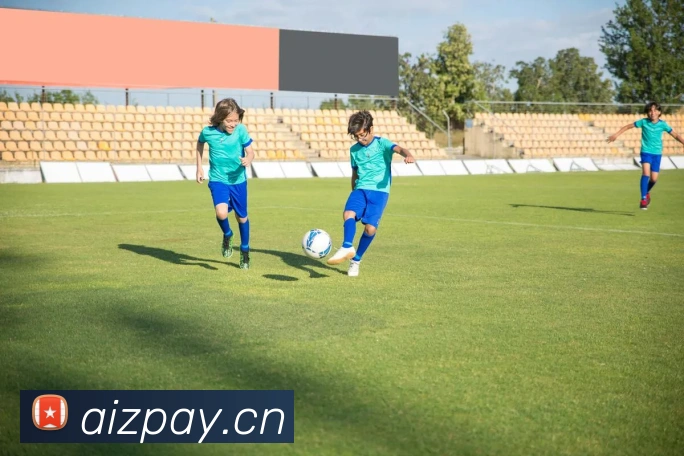 kaiyun入口发展历程